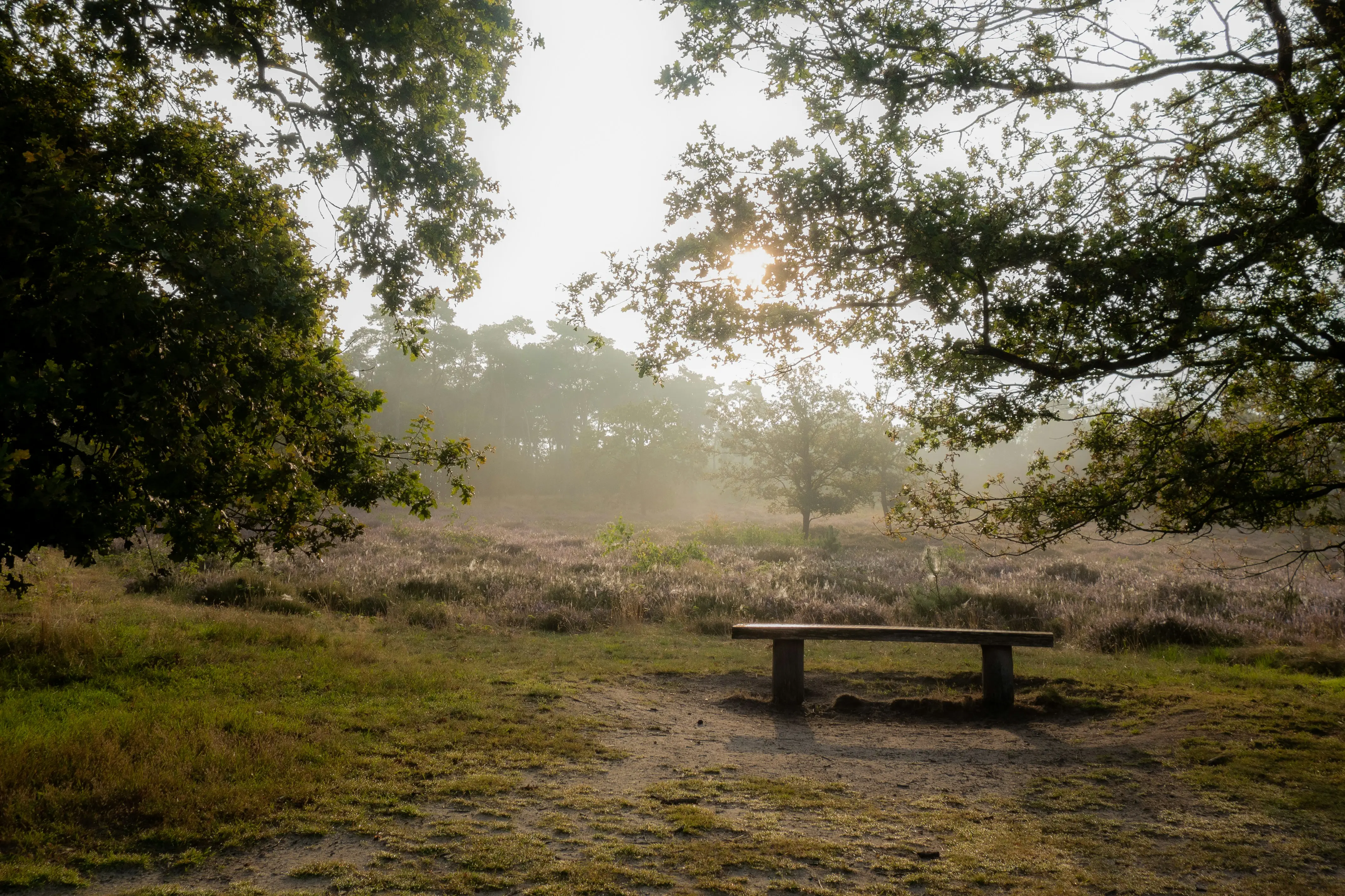 Wooden bench on a field in daytime
