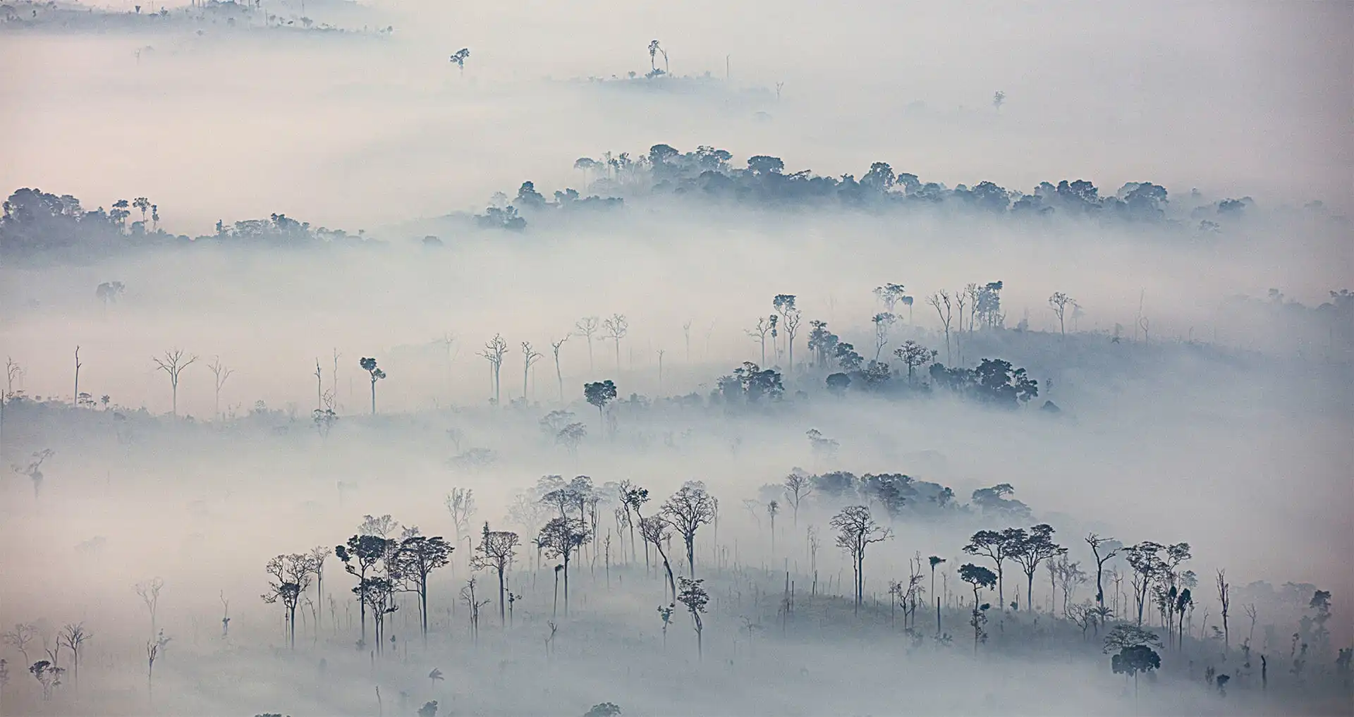 SMOKE IN THE TAPAJÓS NATIONAL FOREST, AMAZON REGION OF PARÁ STATE, SEPTEMBER 2020